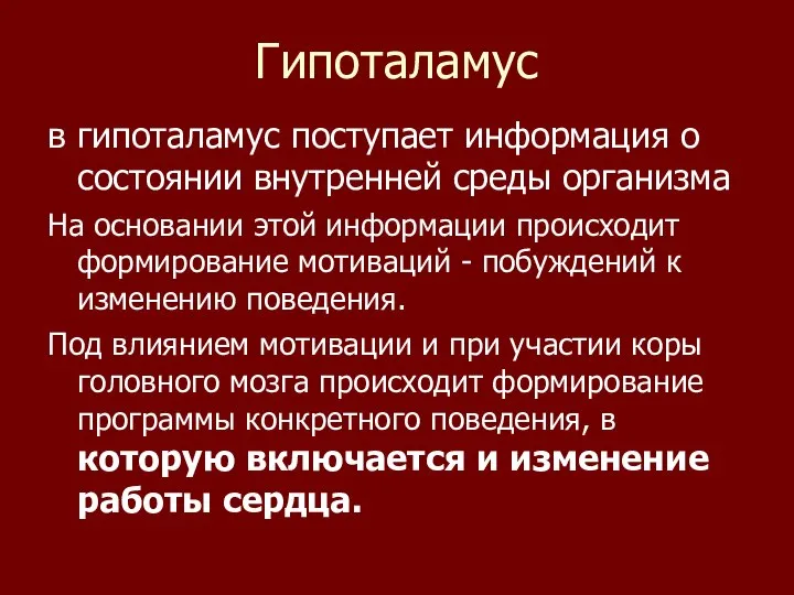 Гипоталамус в гипоталамус поступает информация о состоянии внутренней среды организма На