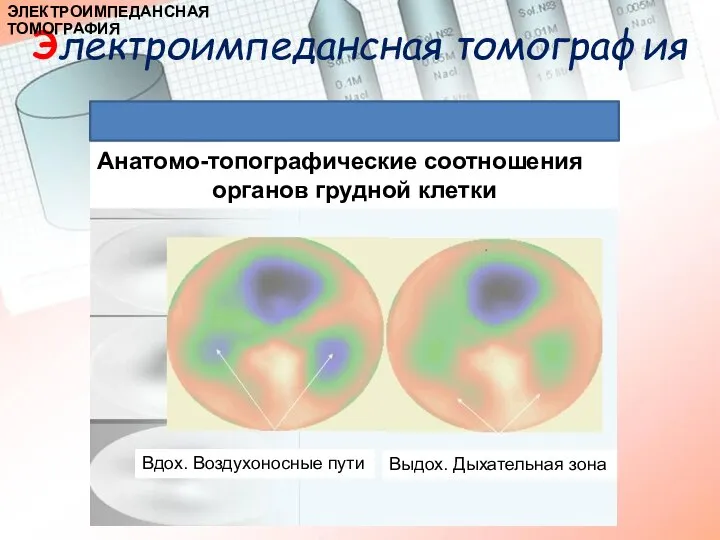 Импедансный анализ сезонные изменения импеданса общий объем воды распределение воды в