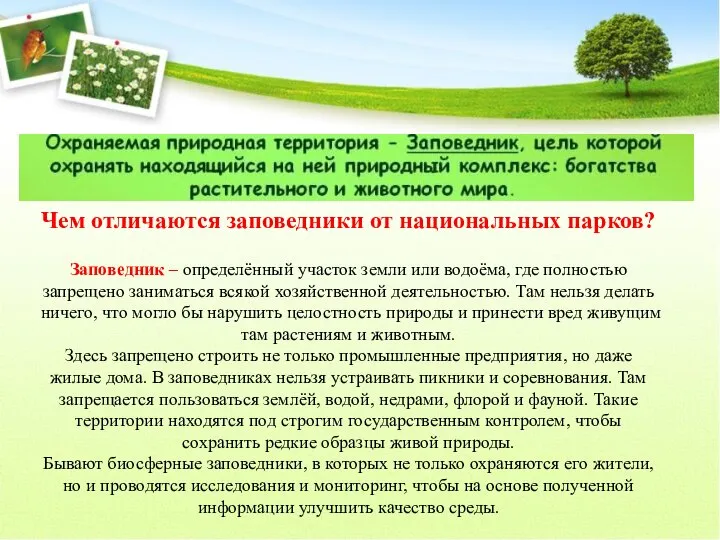 Чем отличаются заповедники от национальных парков? Заповедник – определённый участок земли