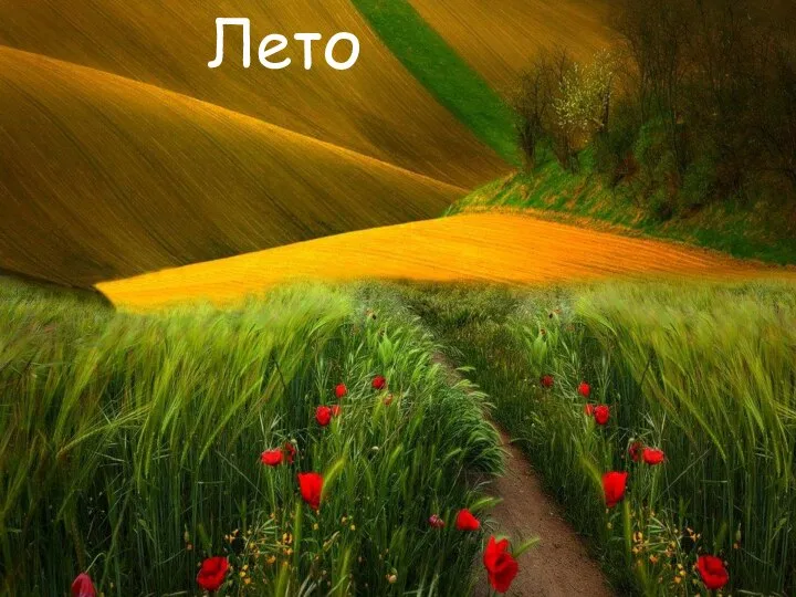 Лето