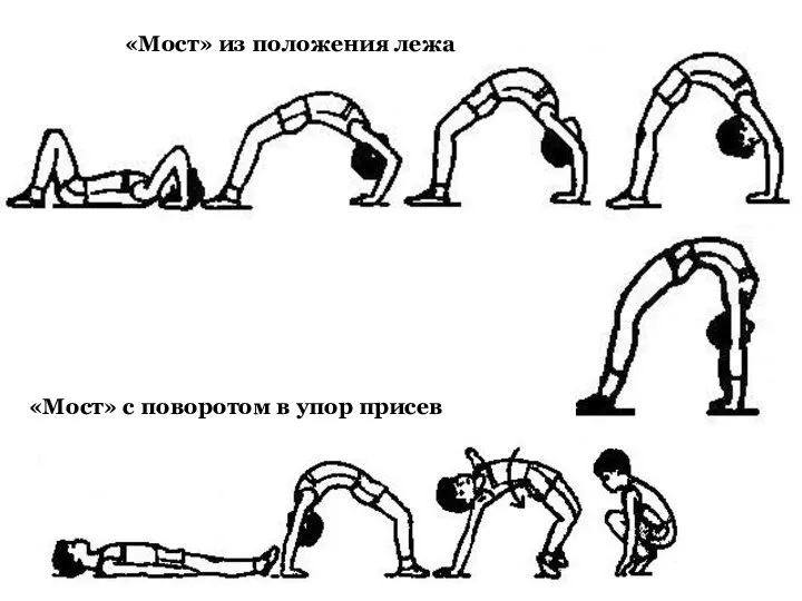 «Мост» из положения лежа «Мост» с поворотом в упор присев