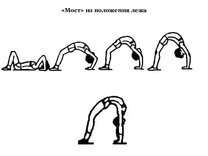 «Мост» из положения лежа