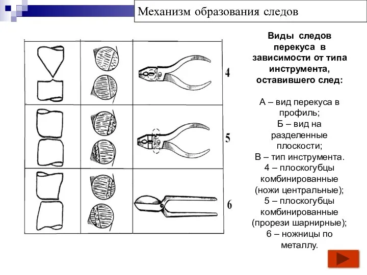 Виды следов перекуса в зависимости от типа инструмента, оставившего след: А