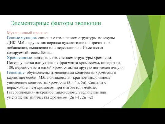 Элементарные факторы эволюции Мутационный процесс: Генные мутации- связаны с изменением структуры