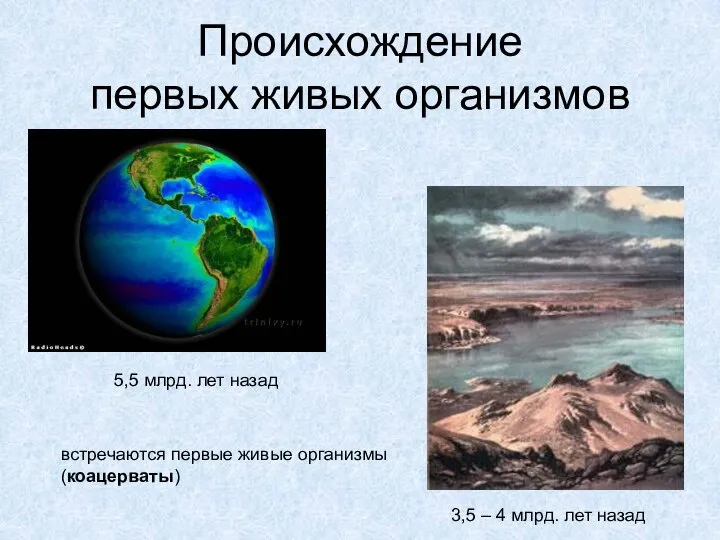 Происхождение первых живых организмов 5,5 млрд. лет назад 3,5 – 4