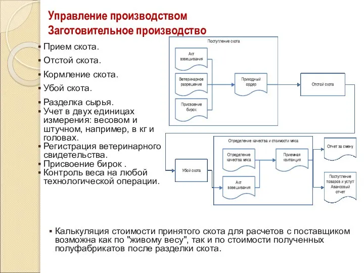 Управление производством Заготовительное производство Прием скота. Отстой скота. Кормление скота. Убой