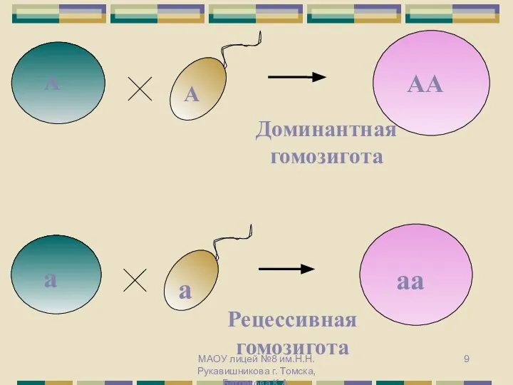 МАОУ лицей №8 им.Н.Н. Рукавишникова г. Томска, Батракова К.А.