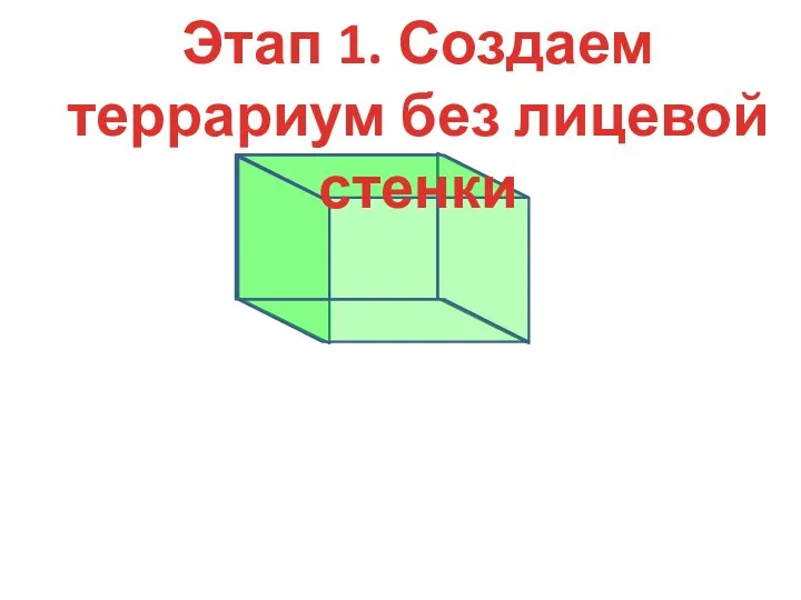 Этап 1. Создаем террариум без лицевой стенки