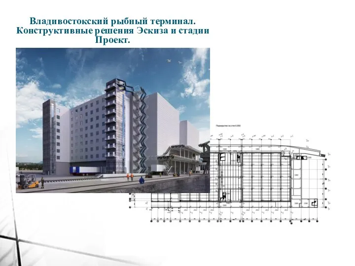 Владивостокский рыбный терминал. Конструктивные решения Эскиза и стадии Проект.