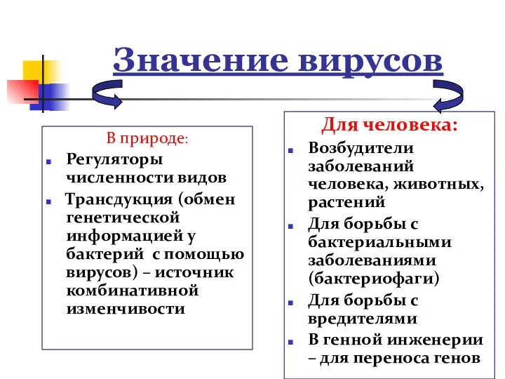 Значение вирусов В природе: Регуляторы численности видов Трансдукция (обмен генетической информацией