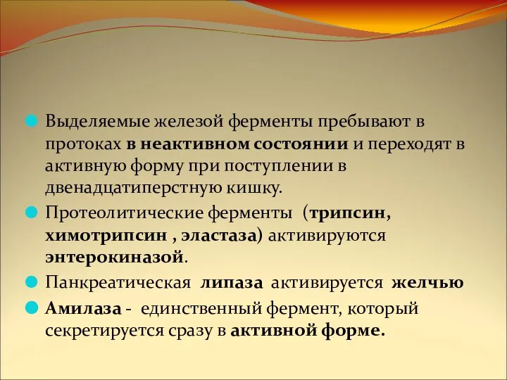 Выделяемые железой ферменты пребывают в протоках в неактивном состоянии и переходят