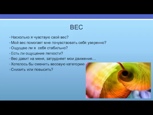 ВЕС Насколько я чувствую свой вес? Мой вес помогает мне почувствовать