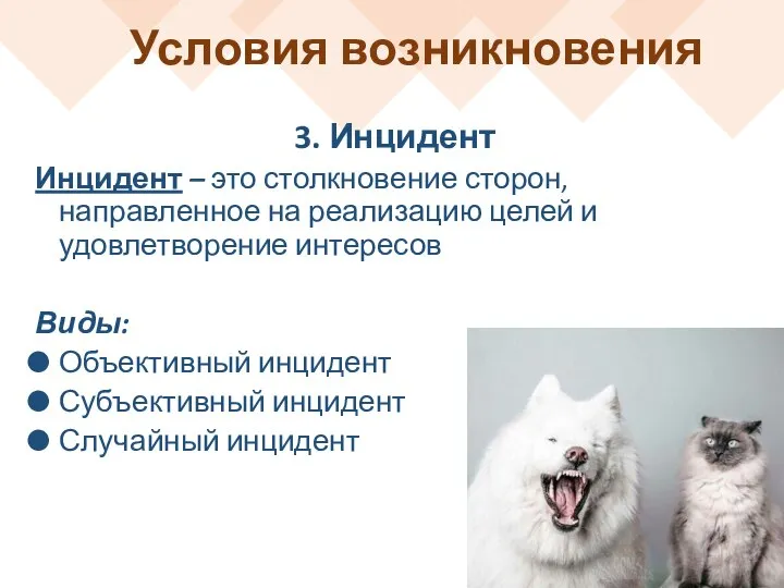 Условия возникновения 3. Инцидент Инцидент – это столкновение сторон, направленное на