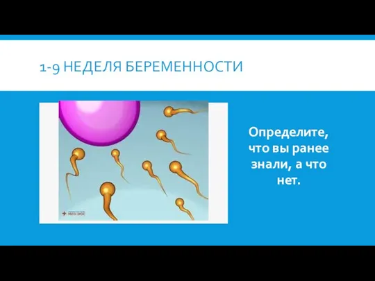 1-9 НЕДЕЛЯ БЕРЕМЕННОСТИ Определите, что вы ранее знали, а что нет.