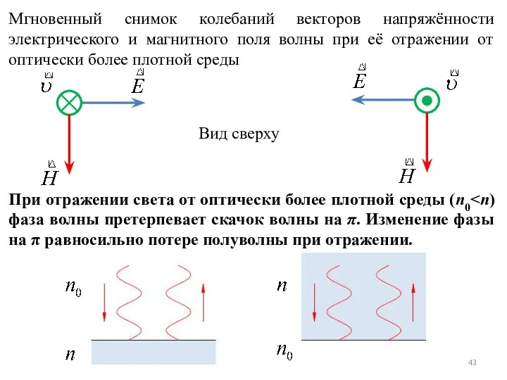 Мгновенный снимок колебаний векторов напряжённости электрического и магнитного поля волны при