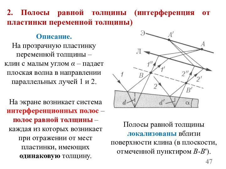 2. Полосы равной толщины (интерференция от пластинки переменной толщины) Описание. На