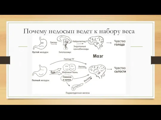 Почему недосып ведет к набору веса