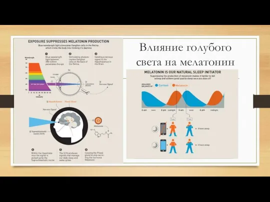 Влияние голубого света на мелатонин