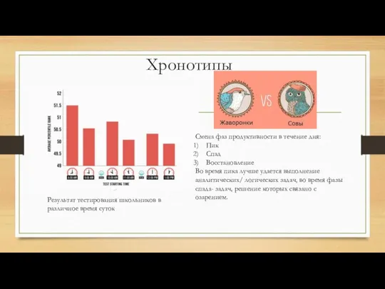 Хронотипы Смена фаз продуктивности в течение дня: Пик Спад Восстановление Во