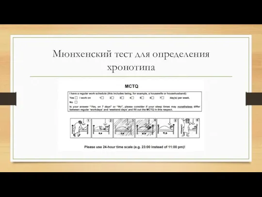 Мюнхенский тест для определения хронотипа