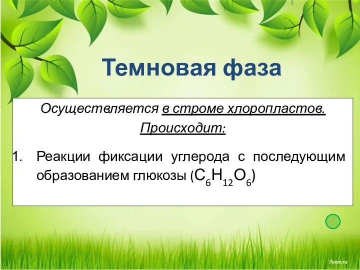 Темновая фаза Осуществляется в строме хлоропластов. Происходит: Реакции фиксации углерода с последующим образованием глюкозы (С6Н12О6)