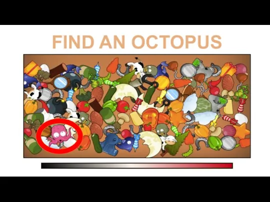 FIND AN OCTOPUS