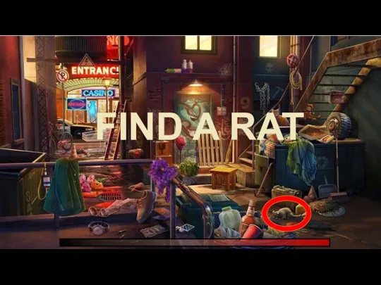 FIND A RAT