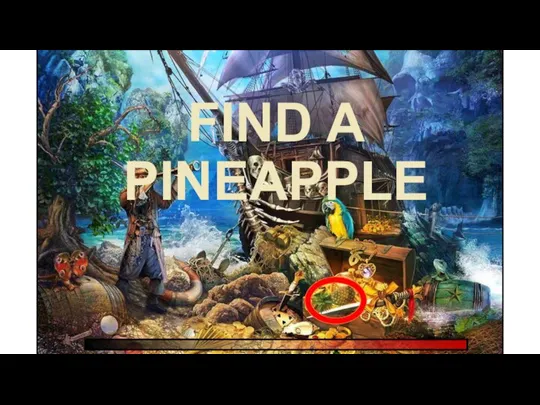 FIND A PINEAPPLE