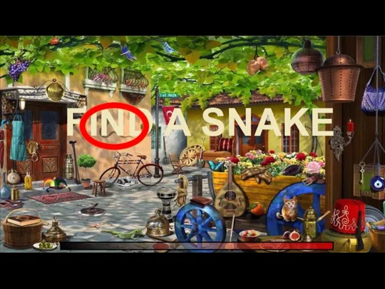 FIND A SNAKE