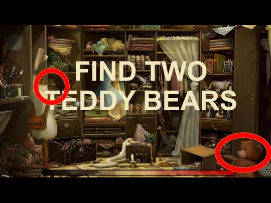 FIND TWO TEDDY BEARS