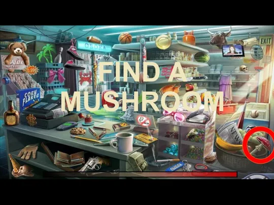 FIND A MUSHROOM