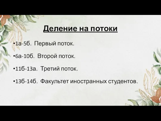 Деление на потоки 1а-5б. Первый поток. 6а-10б. Второй поток. 11б-13а. Третий поток. 13б-14б. Факультет иностранных студентов.