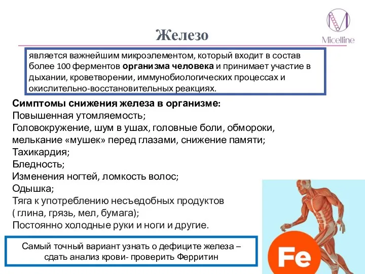 Железо является важнейшим микроэлементом, который входит в состав более 100 ферментов