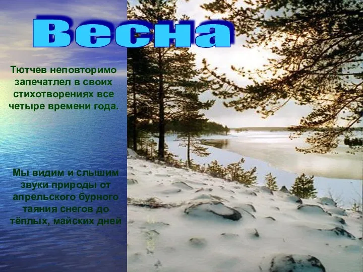 Мы видим и слышим звуки природы от апрельского бурного таяния снегов