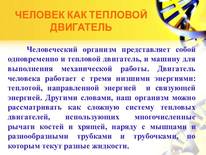 ЧЕЛОВЕК КАК ТЕПЛОВОЙ ДВИГАТЕЛЬ Человеческий организм представляет собой одновременно и тепловой