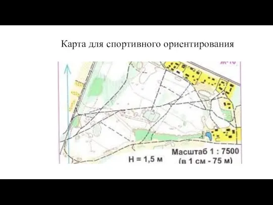 Карта для спортивного ориентирования