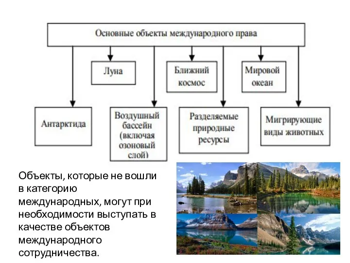 Объекты, которые не вошли в категорию международных, могут при необходимости выступать в качестве объектов международного сотрудничества.