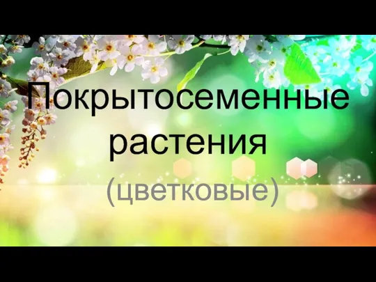 Покрытосеменные растения (цветковые)