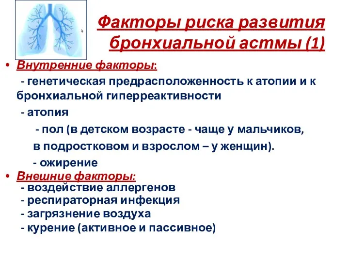 Факторы риска развития бронхиальной астмы (1) Внутренние факторы: - генетическая предрасположенность