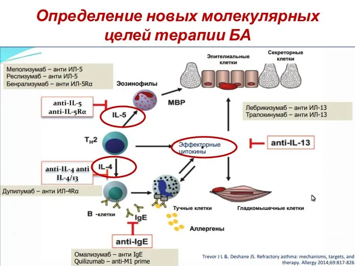 Определение новых молекулярных целей терапии БА