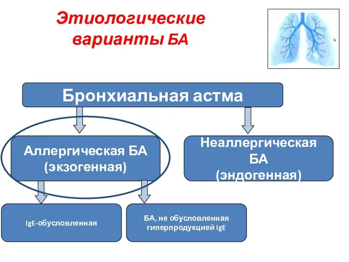 Этиологические варианты БА Бронхиальная астма Неаллергическая БА (эндогенная) Аллергическая БА (экзогенная)