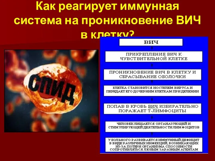 Как реагирует иммунная система на проникновение ВИЧ в клетку?