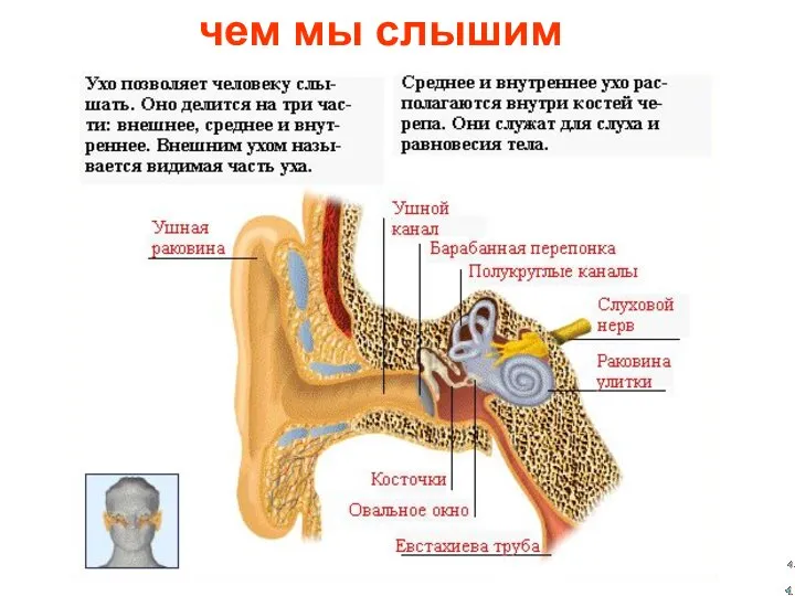 чем мы слышим