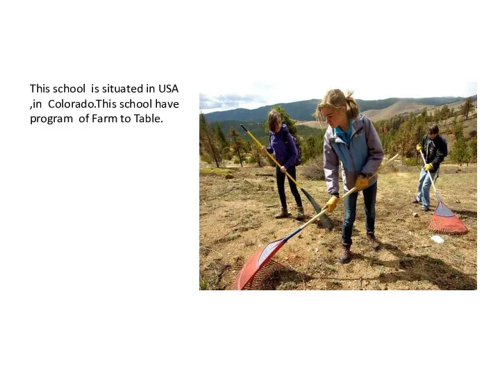 This school is situated in USA ,in Colorado.This school have program of Farm to Table.