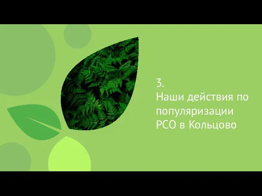 3. Наши действия по популяризации РСО в Кольцово