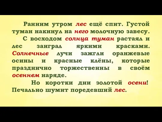 Ранним утром лес ещё спит. Густой туман накинул на него молочную