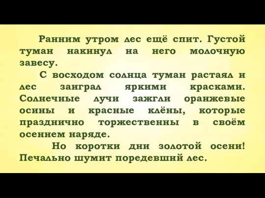 Ранним утром лес ещё спит. Густой туман накинул на него молочную