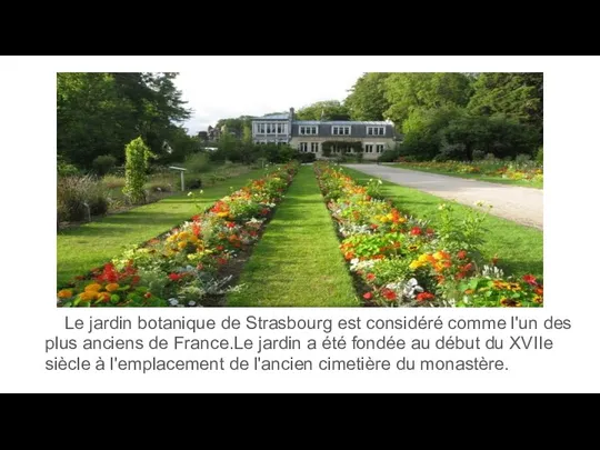 Le jardin botanique de Strasbourg est considéré comme l'un des plus