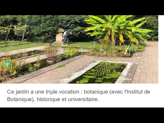 Ce jardin a une triple vocation : botanique (avec l'Institut de Botanique), historique et universitaire.