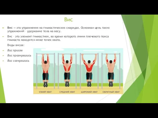 Вис Вис — это упражнения на гимнастических снарядах. Основная цель таких